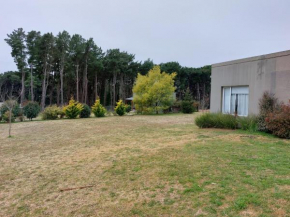 Casa Amplia con Jardin y Parrilla La Serena